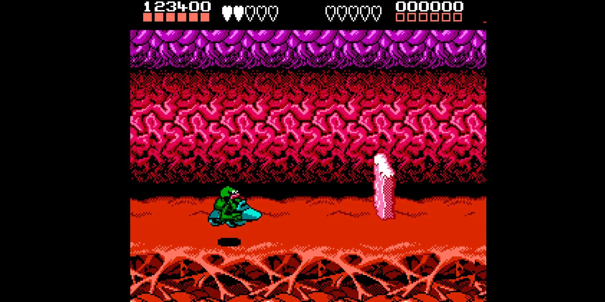 Battletoads 1991 trên NES, hình ảnh hai chú cóc đang chiến đấu