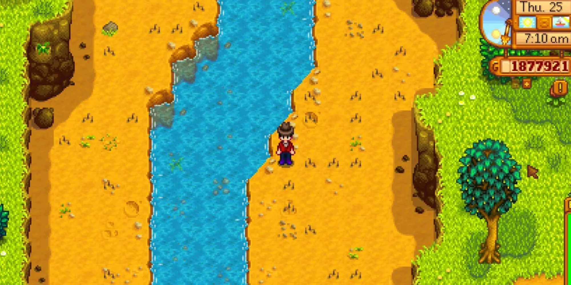 Các điểm khai quật hiện vật trong Stardew Valley.