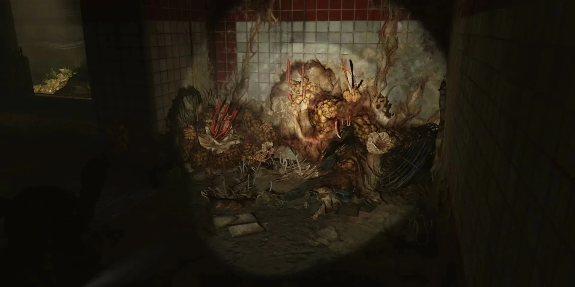 Cụm nấm Cordyceps phát triển trong game The Last of Us