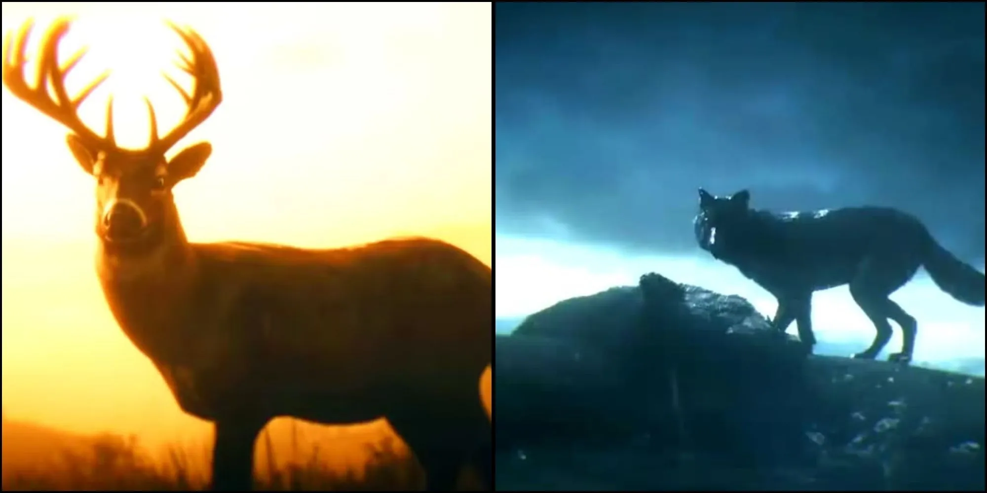 Hệ thống Danh Dự ảnh hưởng đến Arthur Morgan trong RDR2