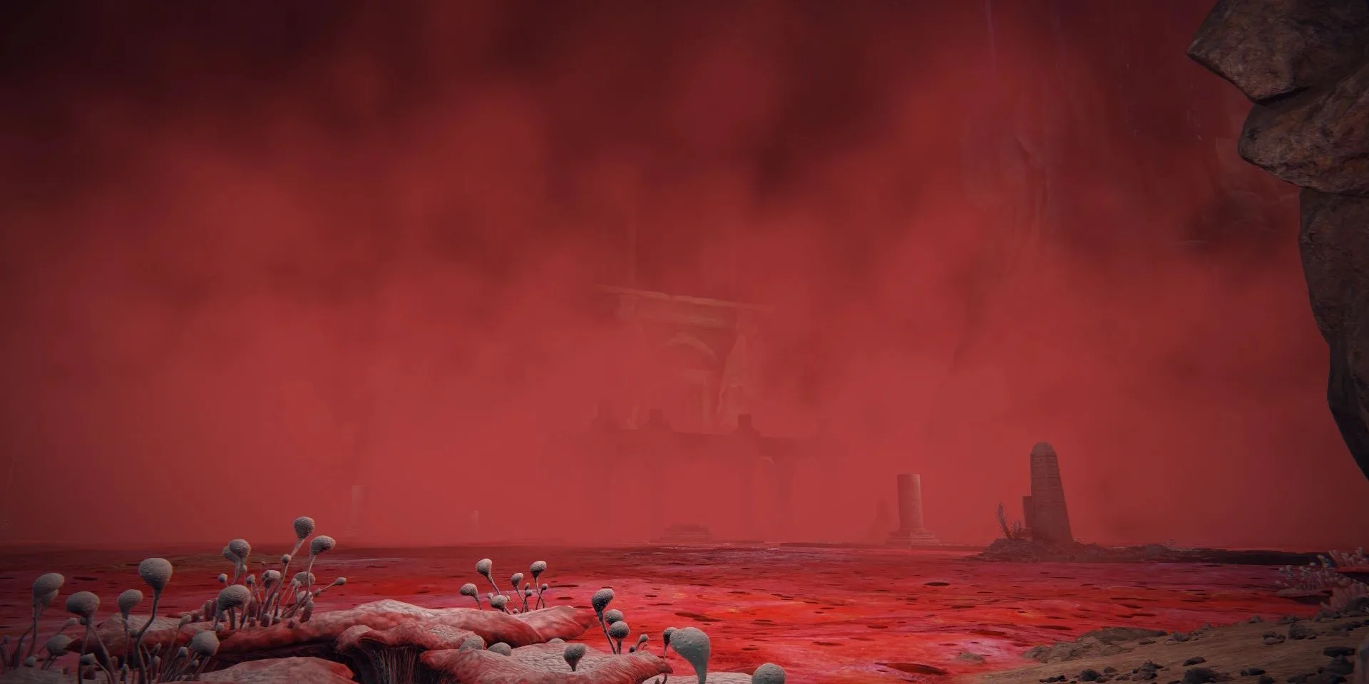Hồ Thối Rữa (Lake of Rot) trong Elden Ring, khu vực bị ảnh hưởng nặng bởi Scarlet Rot
