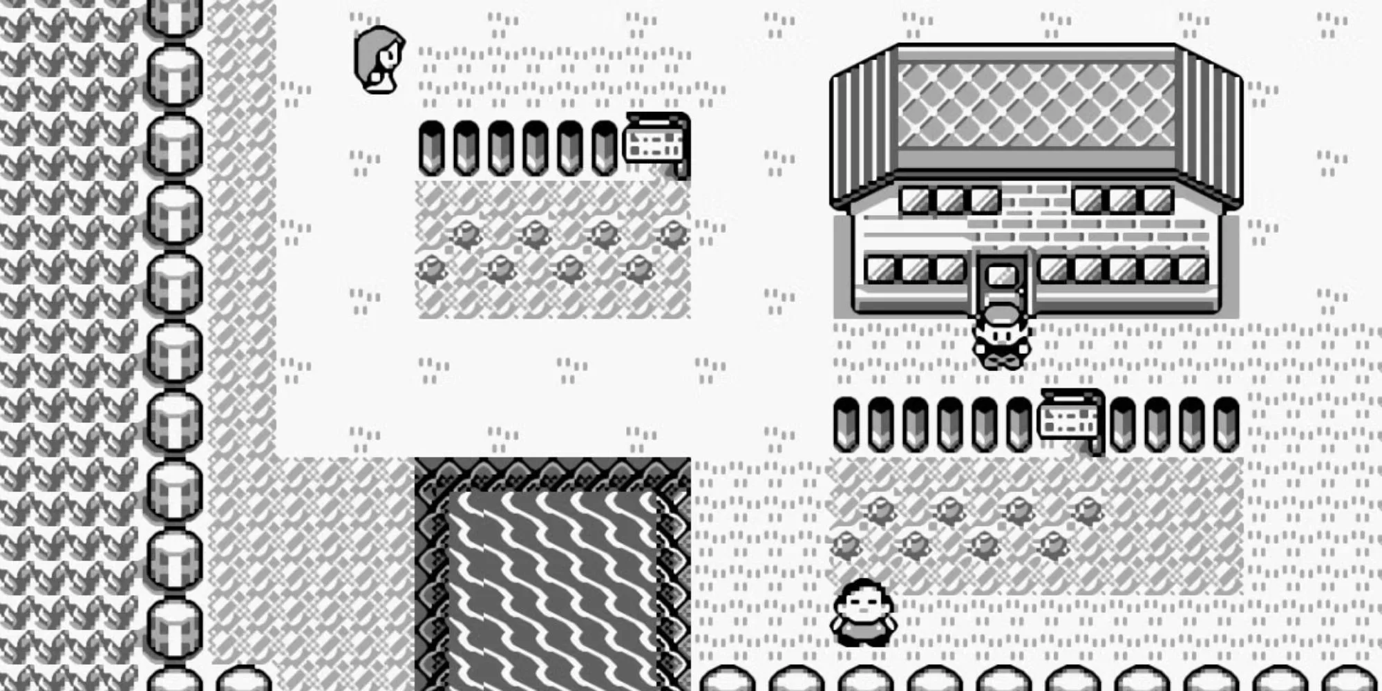 Khám phá một thị trấn quen thuộc tại vùng Kanto trong Pokemon Red và Blue