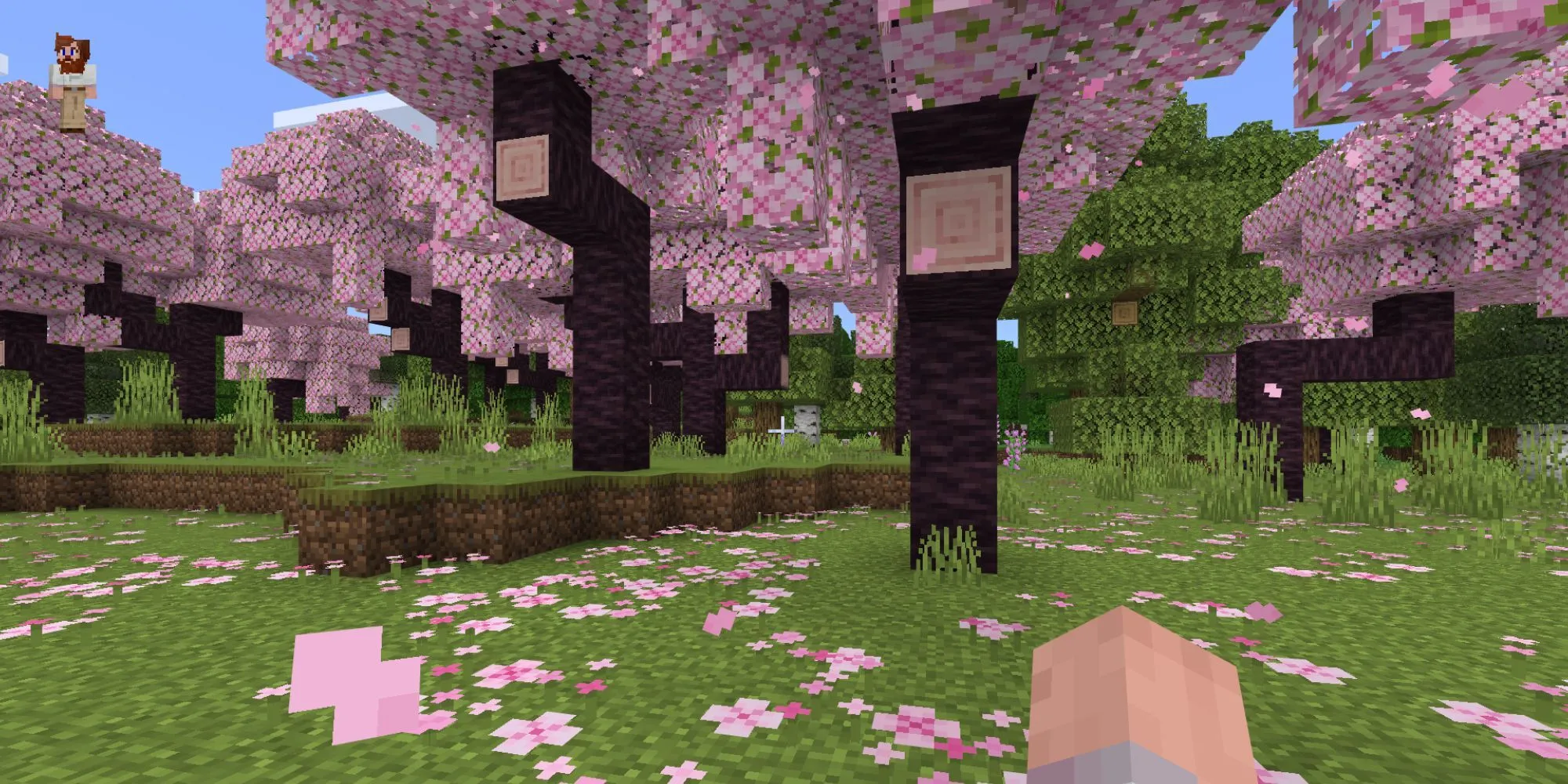Khung cảnh một khu rừng hoa anh đào thơ mộng trong thế giới game sandbox Minecraft