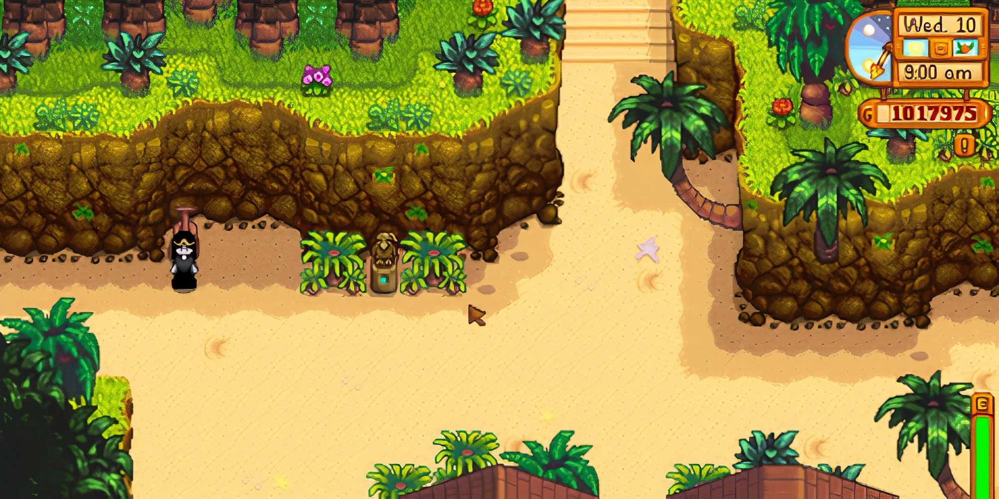 Lối vào khu vực phía Tây Đảo Gừng, nơi Birdie sinh sống, trong Stardew Valley