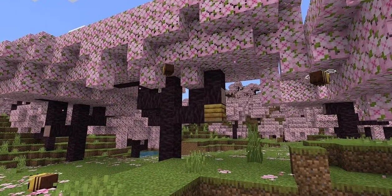 Một khu rừng hoa anh đào tuyệt đẹp trong bản cập nhật Trails and Tales của Minecraft
