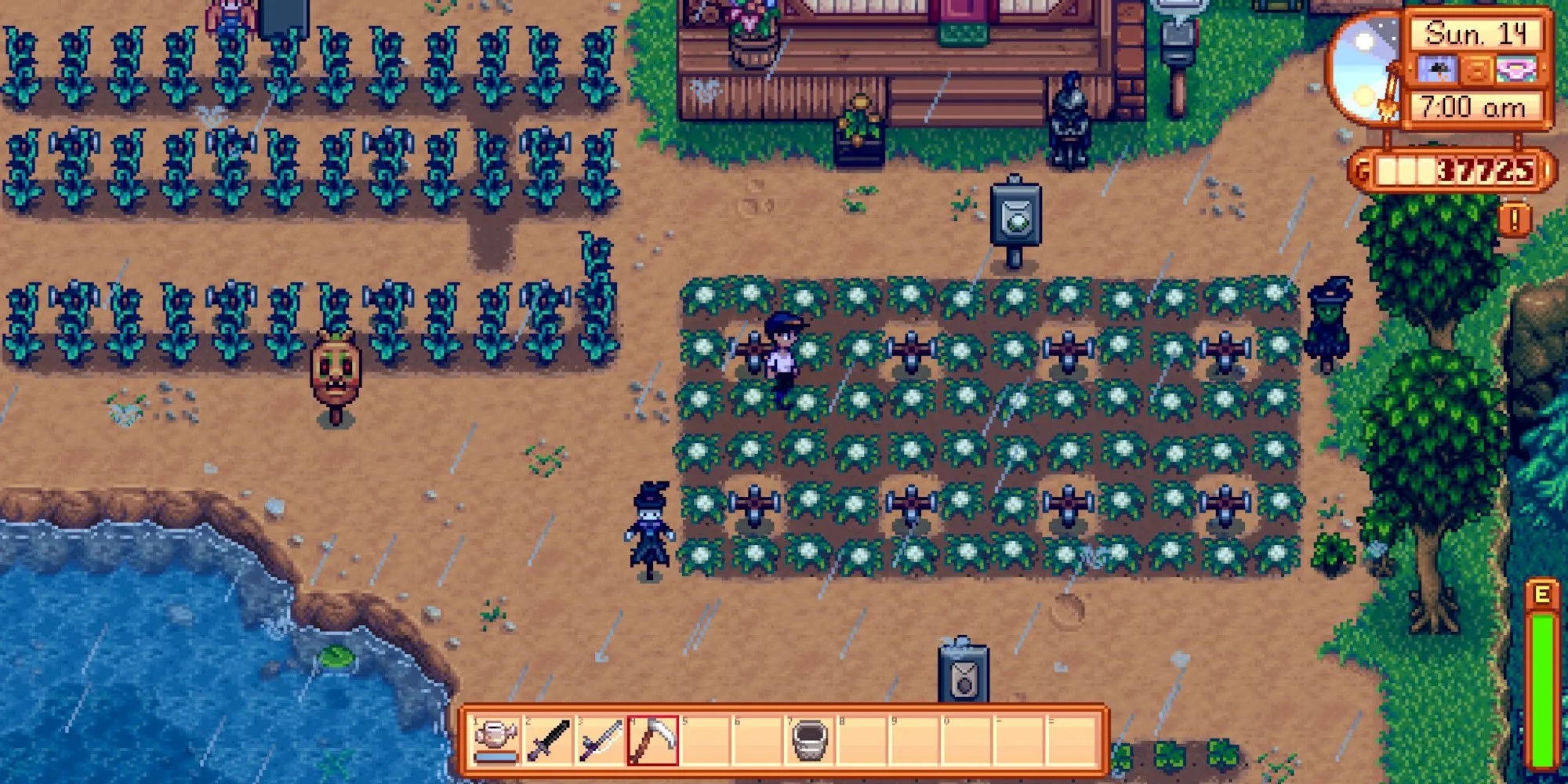 Người chơi đang canh tác trên cánh đồng dưới mưa trong Stardew Valley