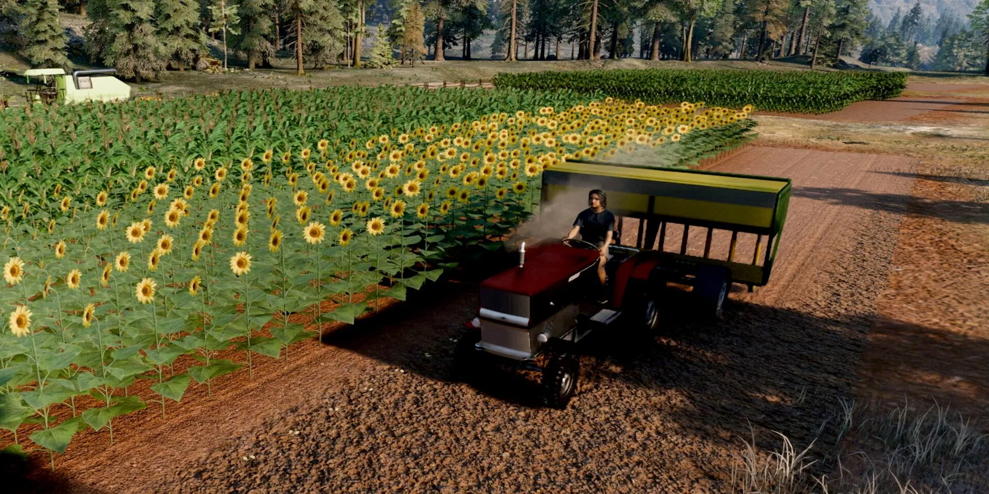 Người chơi Ranch Simulator lái máy kéo thu hoạch ngô trên cánh đồng