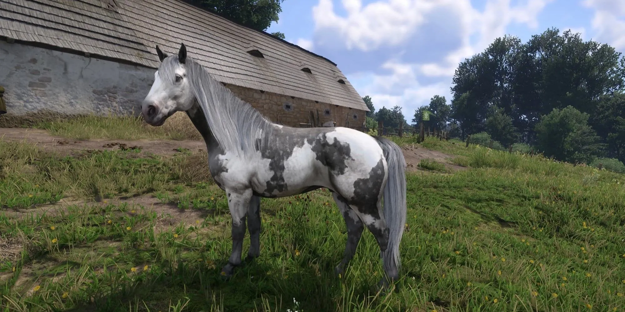 Những chú ngựa mới trong game Kingdom Come Deliverance 2 từ mod Unique Horses