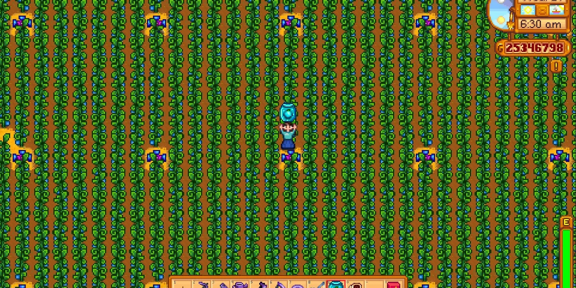 Nông trại trồng Cây cổ thụ quy mô lớn trong Stardew Valley.