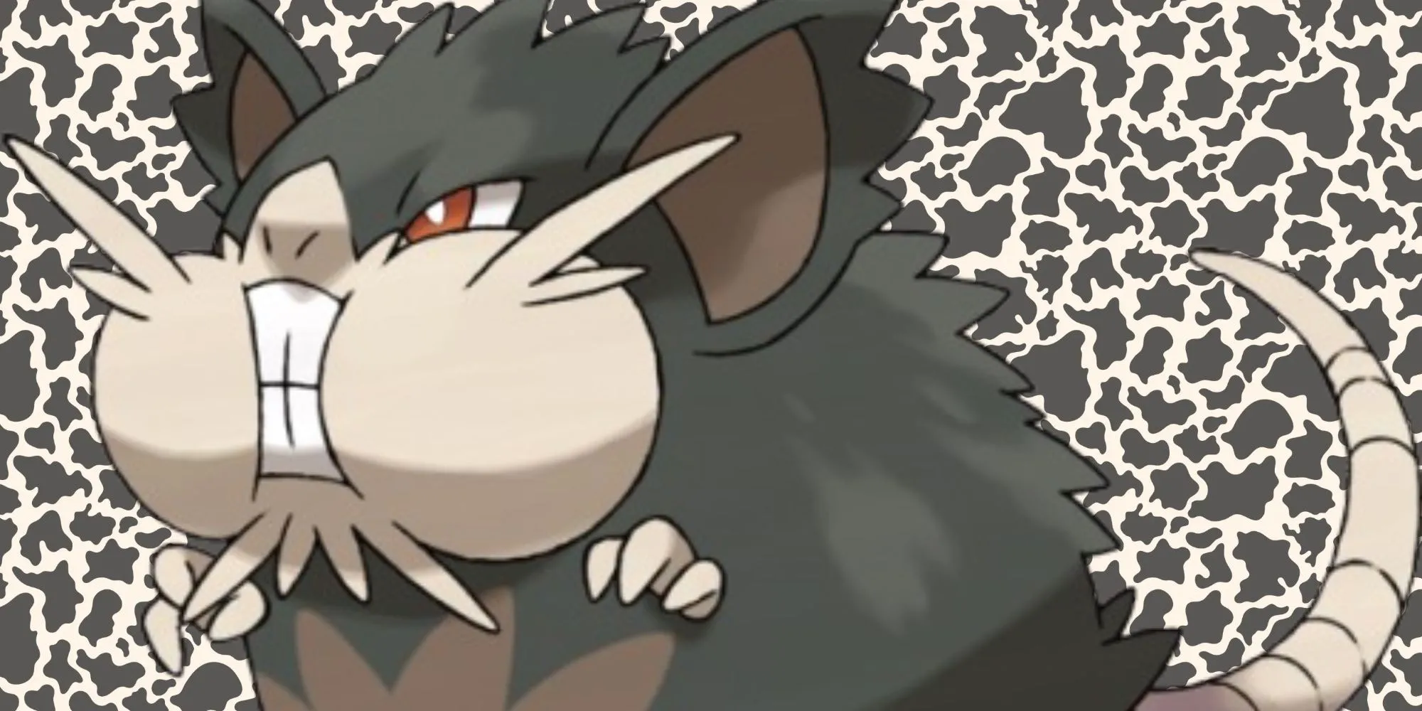 Raticate Alola với đôi má phúng phính và vẻ ngoài của một tên trùm.
