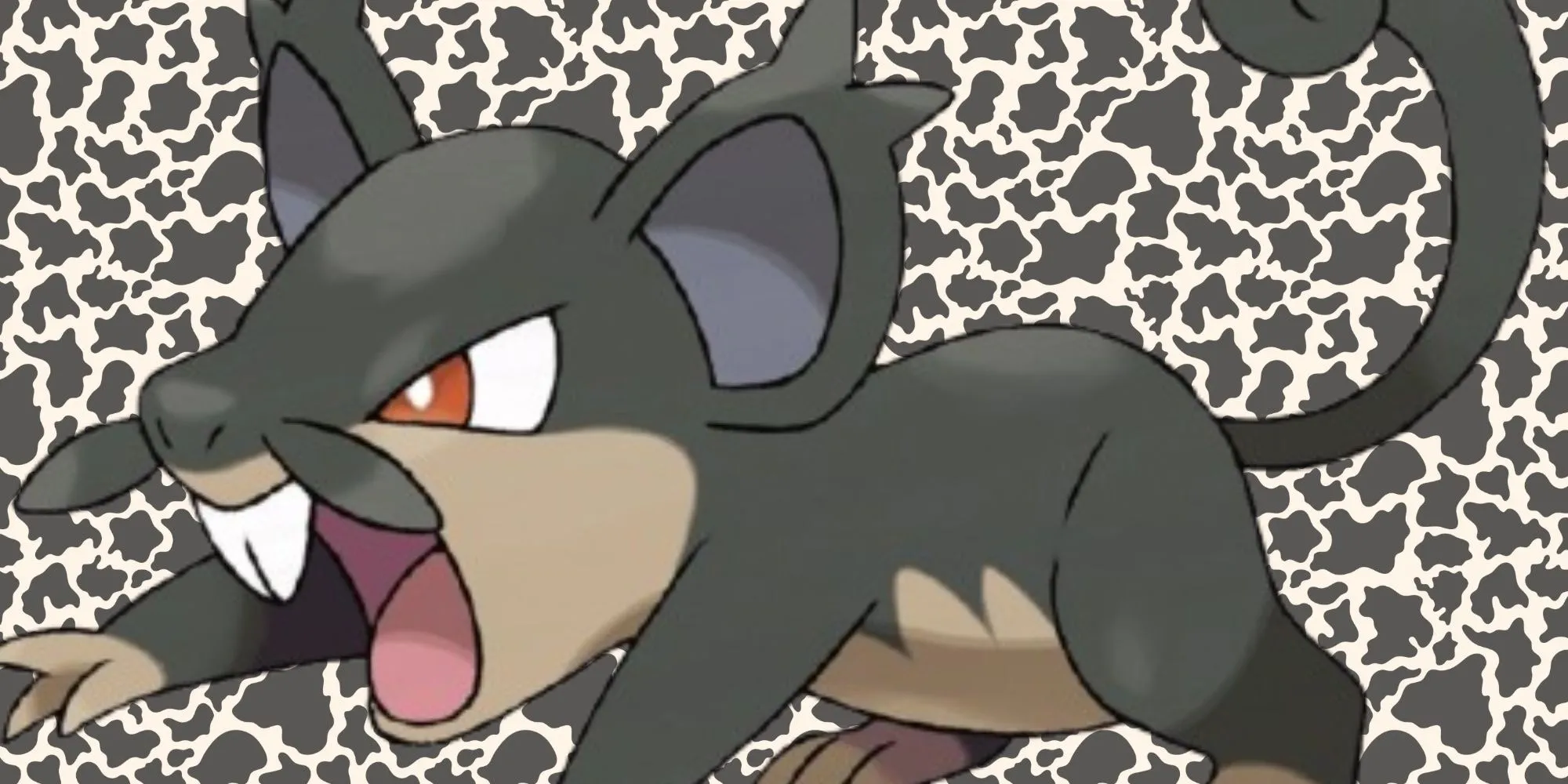 Rattata Alola với bộ lông sẫm màu và bộ ria mép đặc trưng.