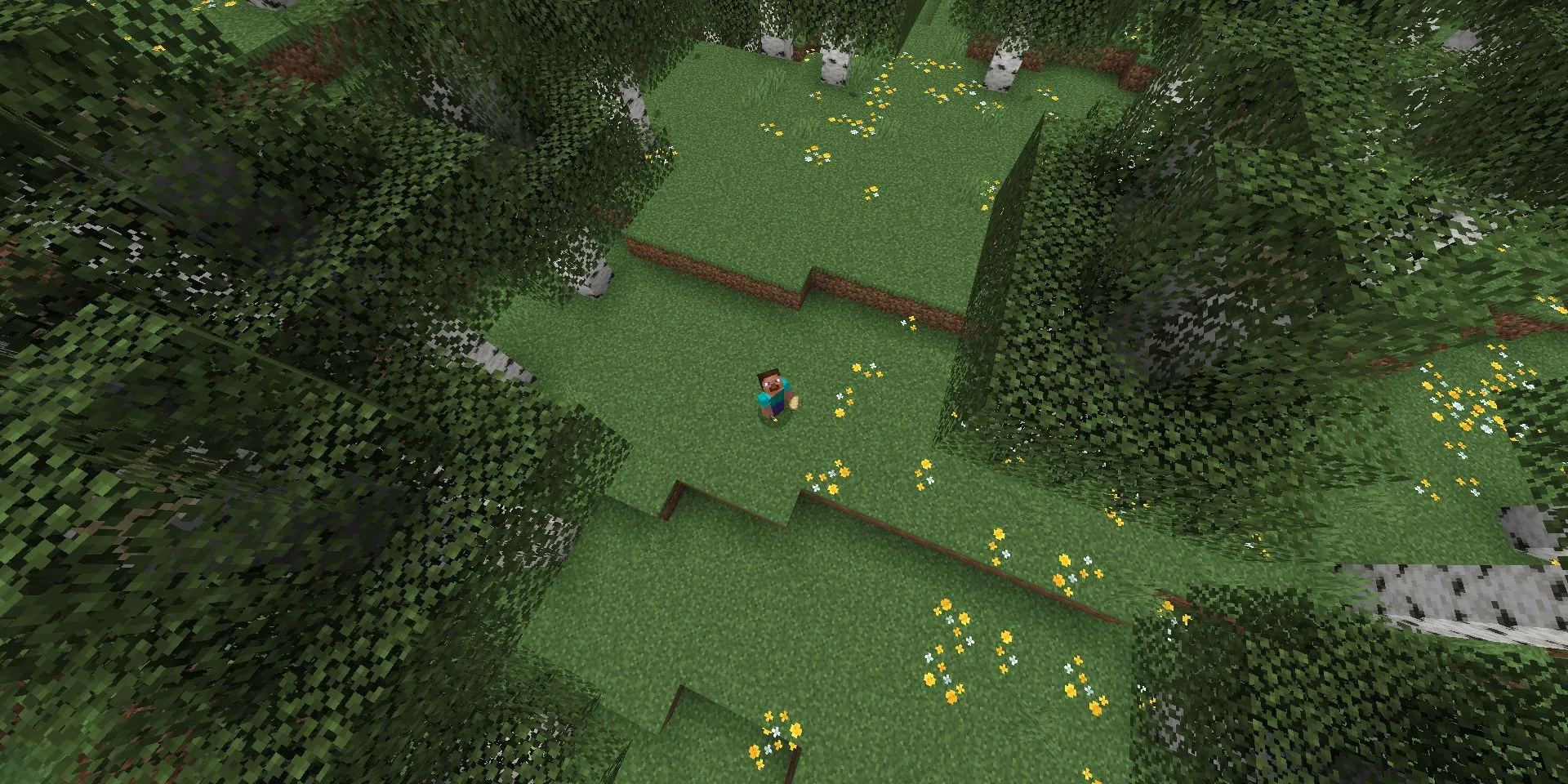 Steve đứng trong rừng Bạch Dương (Birch Forest) ở Minecraft