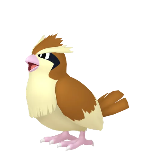 Pokemon Pidgey trên Pokemon GO, phiên bản thường
